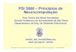 PSI 5886 – Princípios de Neurocomputaçãoicone/psi5886/2008/PEE5886_2008_Aula01.pdfem hardware ou software, que imitam as habilidades computacionais do sistema nervoso biológico,