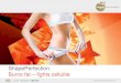 ShapePerfection Burns fat fights cellulite© Mibelle Biochemistry, Switzerland 2016 Cellulite（セルライト） • 女性の9割がセルライトに悩んでいる • 肌における隆起は皮下