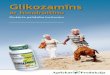 Glikozamīns€¦ · uzlabojas vielmaiņa locītavās, kā rezultāta samazinās arī sūdzības par diskomfortu locītavās • Veicina locītavu kustīgumu, elastību un veselīgumu