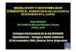 REGULACION Y SOSTENIBILIDAD ENERGETICA: PERSPECTIVAS …gretamal/archs/new/monder_altomonte(n… · “Promoción del Desarrollo Econ ómico en América Latina y el Caribe por medio