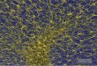 Imagen de ﬂuorescencia de células gliales del cerebelo ... · cavidad nasal y afectan la super!cie de las neuronas sen-soriales que hay allí. Estas generan señales eléctricas