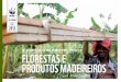 RELATÓRIO FLORESTA VIVA DA REDE WWF: …d3nehc6yl9qzo4.cloudfront.net/downloads/capitulo_4...1 | Florestas e Produtos Madeireiros: Capítulo 4 O Relatório Floresta Viva tem por objetivo