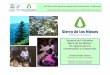 Reserva de la Biosfera Sierra de las Nieves : Un espacio ...baixebre.cat › sites › default › files › pagina › 491 › documents › rb_sierra_nieves.pdfCoordinador Reserva
