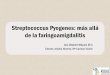Streptococcus Pyogenes: más allá de la faringoamigdalitis › wp-content › uploads › 2020 › 02 › ... · 2020-02-02 · •Faringoamigdalitis aguda en los últimos 6 meses