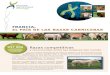 francia, el país de las razas carnicerases.france-genetique-elevage.org › IMG › pdf › fge... · evaluación genómica de las razas bovinas lecheras fue validado oficialmente