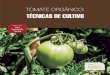 TOMATE ORGÂNICO: TÉCNICAS DE CULTIVO · 2019-12-10 · O cultivo de tomate orgânico gera alta renda para os agricultores. Estudos comprovam que o custo de produção do tomateiro