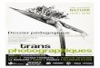 Dossier pédagogique - Transphotographiquestransphotographiques.com/2010/transphotos_dossier... · Dans Fauna Secreta, Joan Fontcuberta s’appuie sur le travail d’un personnage
