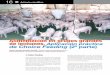 Alimentación en grupos grandes de lechones. Aplicación práctica de … · 2012-06-15 · de lechones: se reduce o aumenta la cantidad o tiempo en la administración del lactoiniciador