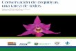 Conservación de orquídeas, una tarea de todos · 2019-04-18 · Laelia speciosa, aunque pareciera ser abundante en algunas localidades; sin embargo un increíble volumen de plantas