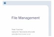 File Management - Institute of Computer Engineering (E191) · Verwendung bei CD-ROMs, DVD-ROMs •Chained Allocation: Belegung typ. einzelner Blöcke, die über Zeiger auf den Folgeblock