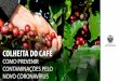 Apresentação do PowerPointmontesantodeminas.mg.gov.br/.../ORIENTAÇÕES-COLHEITA.pdfbem-estar das pessoas envolvidas na colheita do café que se inicia em maio, elaboramos esta cartilha
