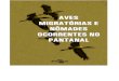 AVES MIGRATÓRIAS E NÔMADES OCORRENTES NO PANTANAL · 2015-12-01 · aves. Escreveu um guia para identificação de pegadas de mamíferos do Pantanal, vários capítulos de livros
