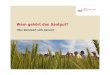 Wem gehört das Saatgut? - CommonsBlog...Seit 1996: Jährlich 26 Projekte in der Züchtungs-forschungbei Gemüse (20) und Getreide (6) Der finanzielle Bedarf dieser Projekte liegt
