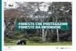 FORESTE CHE PROTEGGONO FORESTE DA DIFENDERE · Profughi ambientali 30 Deforestazione e pandemie 31 Deforestazione, desertificazione e siccità 33 DEFORESTAZIONE E DISASTRI: CASI EMBLEMATICI