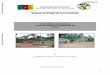 REPUBLIQUE DU CAMEROUN MINISTERE DES …...6 RESUME EXECUTIF NON TECHNIQUE Le Projet de conservation et d’utilisation durable des ressources forestières du massif Ngoyla-Mintom