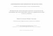 Auditoria de comunicación interna y propuesta de campañas ...repositorio.usfq.edu.ec/bitstream/23000/6998/1/135143.pdf · Auditoria de comunicación interna y propuesta de campañas