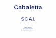 Cabaletta - Hersenziekte-SCA1€¦ · 1 x per maand gedurende 12 maanden (controles: 1 x per 3 maanden) Daarnaast (ook voor effectiviteit): NESSCA (Neurological Examination Score