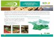 PANORAMA DES - le site internet de la bio en …...La région Occitanie comptabilise 1210 opérateurs de la transformation industrielle et du commerce de gros ayant une activité bio