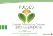 Canadian Pulse Industry Overview 0… · >900,000 tonnes of soy protein was used by the global food industry ... Hot Cereals (5%) Cereal Bars (15%) Salad Dressings (5%) Premium Wet