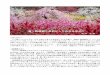 春！桃源郷に赤白ピンクの花を求めてsizengaku/tokosakuhin/31.2...1 ＜はじめに＞ いつ頃だっただろうか。かなり前だと思うが自宅近くのJRの駅に「福島に桃源郷あり」という大