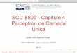 SCC-5809 - Capítulo 4 Perceptron de Camada Únicawiki.icmc.usp.br/images/c/cd/SCC5809Cap4.pdf · PerceptronLMS SCC-5809 - Capítulo 4 Perceptron de Camada Única João Luís Garcia