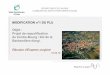 DEPARTEMENT DU RHONE COMMUNE DE SAINT -SYMPHORIEN D’OZON€¦ · COMMUNE DE SAINT -SYMPHORIEN D’OZON Rédaction du projet : Par délibération en date du 22 mai 2018, le Conseil