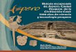 Historia recuperada de Áspero, Ciudad Pesquera de la ......la ciudad de Áspero evidencia similares componentes arquitectónicos y estilos que los otros asentamientos del período