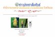 เพลี้ยกระโดดสีน้ําตาล (brown plant hopper, BPH)mueang.loei.doae.go.th/Box-newsAn/PDF/062013/new4.pdfเพลี้ยกระโดดสีน้ําตาล