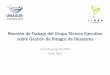 Presentación de PowerPoint...2 y 3 de junio de 2016 Lima, Perú . PRESIDENCIA PRO TÉMPORE GTANGRD-UNASUR VENEZUELA 2016-2017 Gral. (B) Willian Martínez Viceministro ... flujogramas