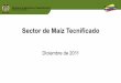 Sector de Maíz Tecnificado - MinAgricultura · 2019-05-13 · - Con la Cadena y Corpoica se esta trabajando en la construcción de la agenda única de investigación dirigida hacia