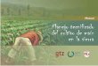 Manual de Maiz final - WordPress.com · 2014-08-11 · 3 Manejo tecnificado del cultivo de maíz en la sierra En nuestro país se cultivan dos tipos de maíz con mayor predominancia: