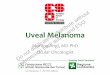 Martina Angi, MD PhD Ocular Oncologist · Integrative Analysis Identifies Four Molecular and Clinical Subsets in Uveal Melanoma Cancer Cell Volume 32, Issue 2, 2017, 204–220.e15