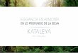 ELEGANCIA EN ARMONÍAonzze.mx/wp-content/uploads/2019/09/Kataleya.pdf · Concepto En perfecta armonía con la naturaleza y cuida-dosamente integrado a la selva, florece el único