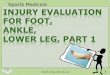 Sports Medicine INJURY EVALUATION FOR FOOT, ANKLE, LOWER ... · injury evaluation for foot, ankle, lower leg, part 1 sports medicine property of pima county jted, 2010 1