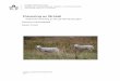 Planering av fårstall - Archive · 2011-08-22 · Planering av fårstall Planing of sheepstabel Niklas Frisell Handledare: Anders Herlin Område: LBT Sveriges lantbruksuniversitet