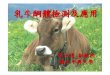 乳牛酮體檢測及應用 - 行政院農業委員會 ...過40%的牛隻，其乳蛋白與乳脂肪比例會 ... 需要50 g的葡萄糖，所以體內的能量在高 ... 注意在泌乳早期產生的任何疾病，皆會引