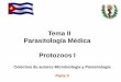 Tema II Parasitologأ­a Mأ©dica Protozoos Protozoos I Colectivo de autores Microbiologأ­a y Parasitologأ­a