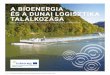 A BIOENERGIA ÉS A DUNAI LOGISZTIKA TALÁLKOZÁSA · A biomassza- és bioenergia-ágazathoz kapcsolódó, a dunai hajókon szállítható áruk nagy része ömlesztett szárazáru