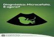 Sistema COFFITO/CREFITOscoffito.gov.br/nsite/wp-content/uploads/.../CartilhaMicrocefalia_Final.… · Microcefalia, vírus Zika e Tratamento No final de 2015 o Brasil começou a enfrentar