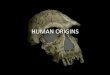 HUMAN ORIGINS - fpubio.comfpubio.com/kunz/hist_phil_science/hps_resources... · HUMAN ORIGINS . Homo habilus 2.5-1.5MYA. Australopithecus afarensis 4-3MYA Australopithecus africanus