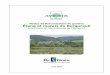 tang et marais du Bergureuil A - AVENIRavenir.38.free.fr/images/docs/Etang-marais-Bergureuil-PV.pdf · 2006-09-12 · Notice de préconisation de gestion de l’étang et du marais