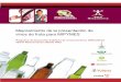 Mejoramiento de la presentación de vinos de fruta para MIPYMES …cenida.una.edu.ni/relectronicos/REQ02V335.pdf · 2019-04-05 · Mejoramiento de la presentación de vinos de fruta