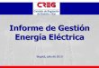 Informe de Gestión Energía Eléctrica€¦ · 4. Resoluciones 100 - 124, 142 y 143 de 2009 y 019 de 2010 (28) Resoluciones 166 - 173 de 2009 (8) Recursos de Reposición (14) Resoluciones