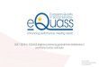 2017-2019 m. EQUASS diegimo priemonių …equass.lt/wp-content/uploads/Tyrimo-santrauka.pdf2017-2019 m. EQUASS diegimo priemonių įgyvendinimo stebėsenos ir įvertinimo tyrimo santrauka