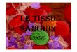 5 TISSU SANGUIN DIAPOSuniv.ency-education.com/uploads/1/3/1/0/13102001/histo1an-tissu... · HEMATIES 4.8 - 5.4 106 / mm3 LEUCOCYTES 5 - 10 103 / mm3 PLAQUETTES 250 - 400 103 / mm3