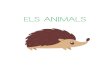 ELS ANIMALS - equinoderms SENSE potes cucs mollusc. ELS ANIMALS ELS ANIMALS VERTEBRATSVERTEBRATSVERTEBRATS