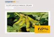 Szójatechnológia · 2018-04-05 · öKonI® Sclero pro ... 2–5 l/ha (kultúránként eltérő) 7–10 nap kukorica (takarmány), repce, szója, napraforgó Elsodródásgátlásra