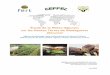 Étude de la filière légumes sur les Hautes Terres de ...€¦ · 4 Chapitre V : Analyse de l’accès aux services par les producteurs Avec le développement de la filière et