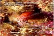 Reproducción de blénidos mediterráneosaquaticnotes.com/content/pub/ES/blenidos.pdf · les “pesa” al nadar. Su hábitat natural lo en-cuentran en fondos rocosos o arenosos y