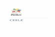CHILE - unjbg.edu.pe · Chile, de realizar: a) Intercambios académicos a nivel de pregrado. b) Intercambios académicos a nivel de doctorado. c) Desarrollar estancias académicas